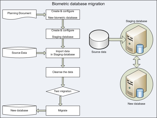 B3_Migration